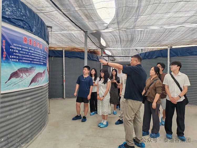 浙江大學(xué)晨興文化中國河南行走進(jìn)泰油谷集團，僑商助推人才共探產(chǎn)業(yè)新浪潮